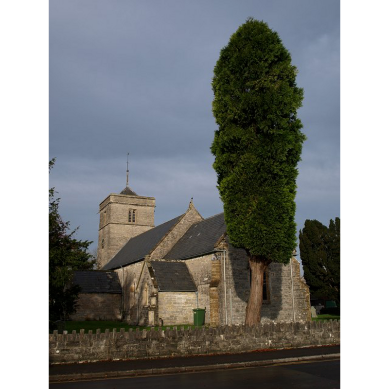 Main image for Street nr. Shobdon? / Strate / Strete