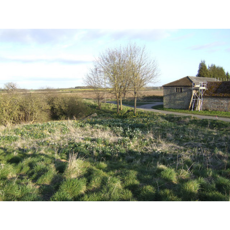 church ruins in context -- camera positioned on the church ramparts; showing the Caldecote Farm on the right