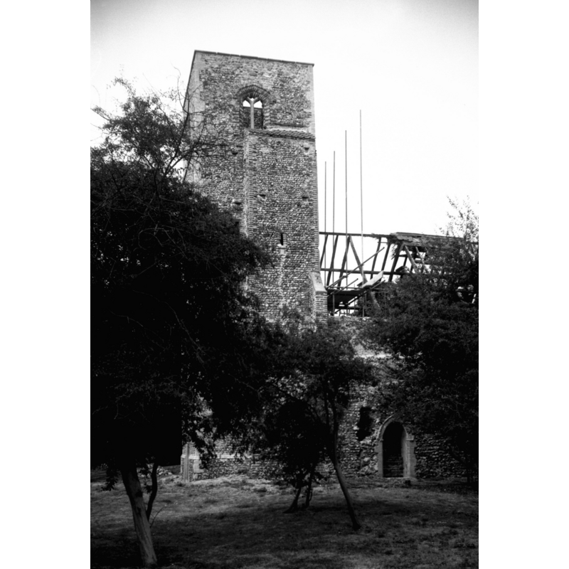 in 1955