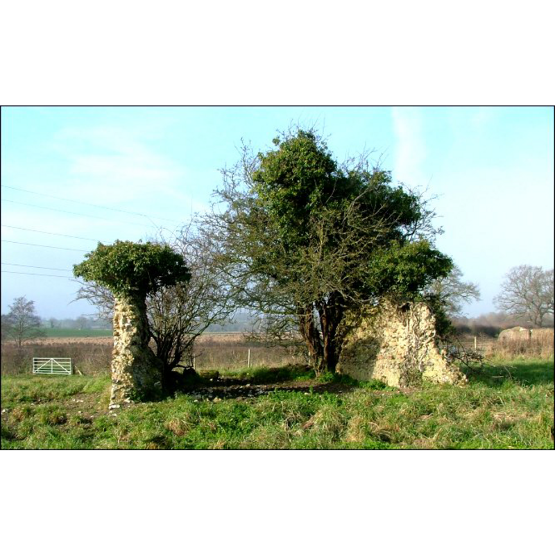 the ruins of St. Andrew