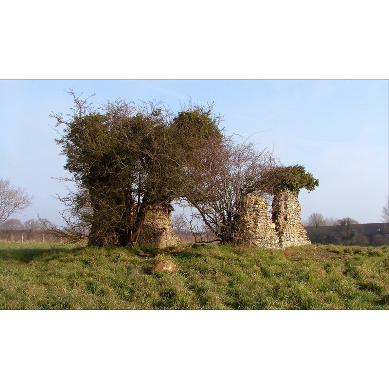 the ruins of St. Andrew