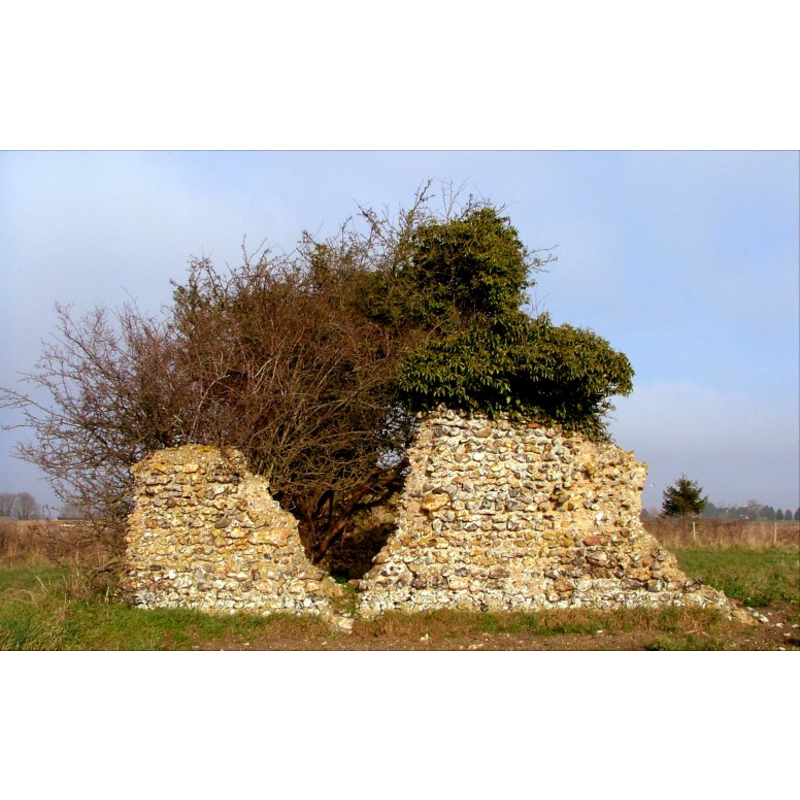 the ruins of St. Andrew