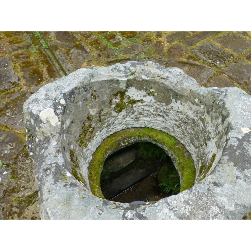 well-head