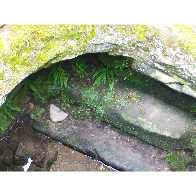 steps beneath the well-head
