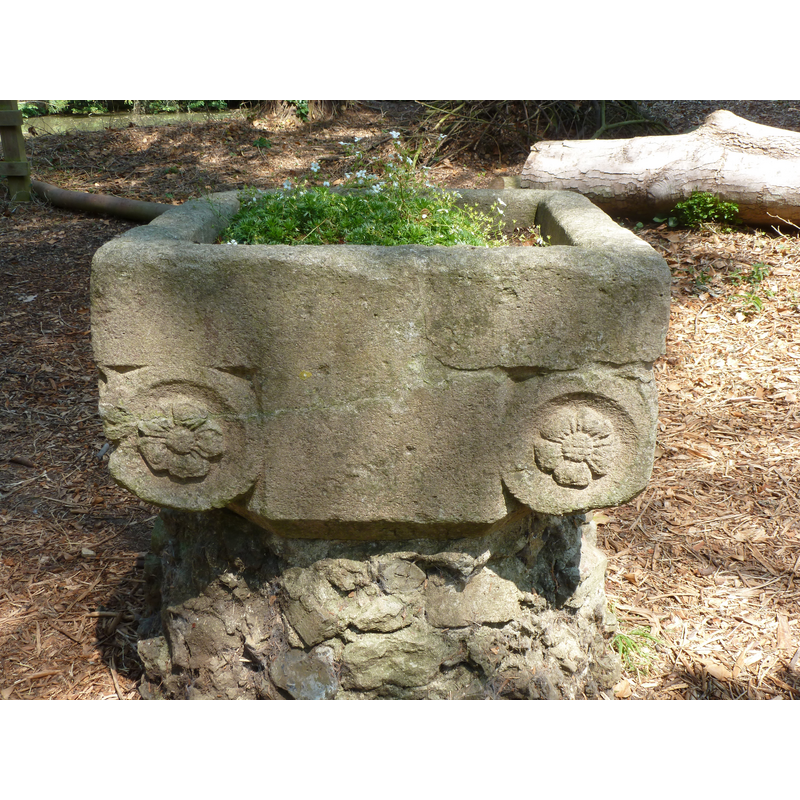 as displayed at Knowton Park on 15 July 2013 [cf. FontNotes]