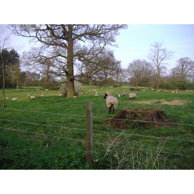 Main image for Alethorpe / Alatorp / Althorp