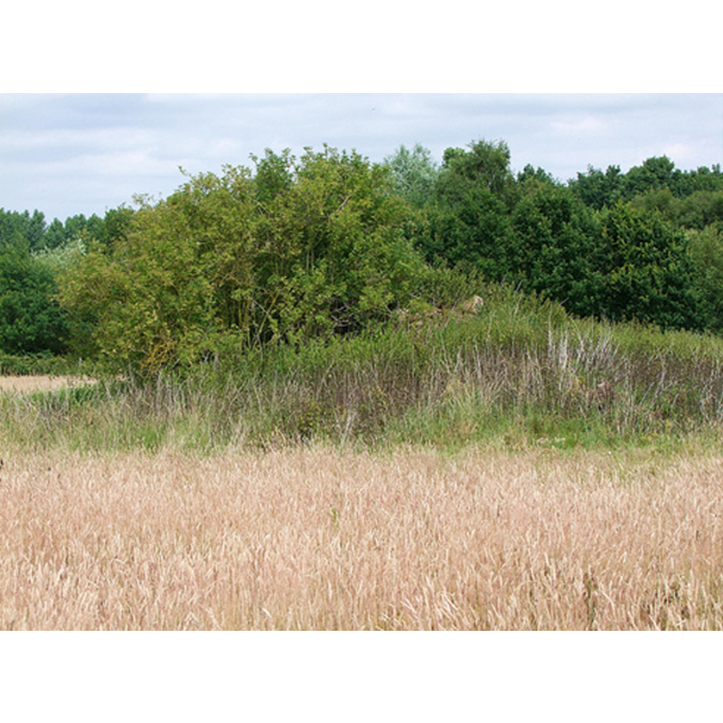Main image for Wallington-cum-Thorpland / Wallinghetuna