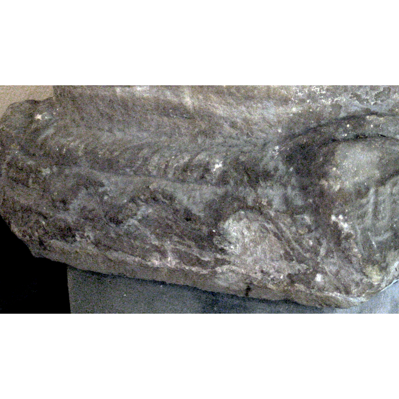 a series of irregular chevrons on some of the sides