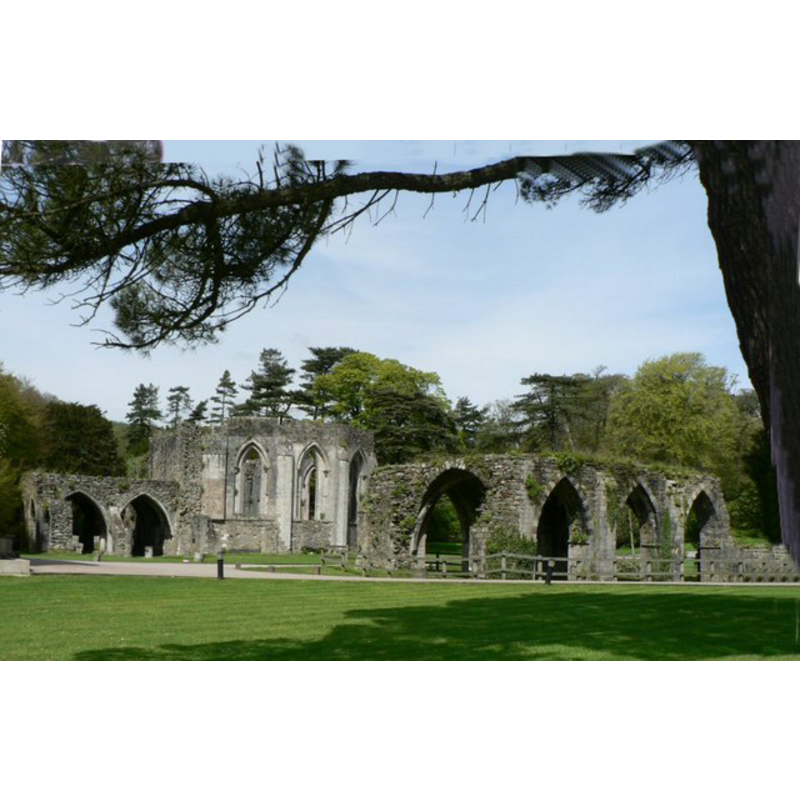 the ruins of the abbey