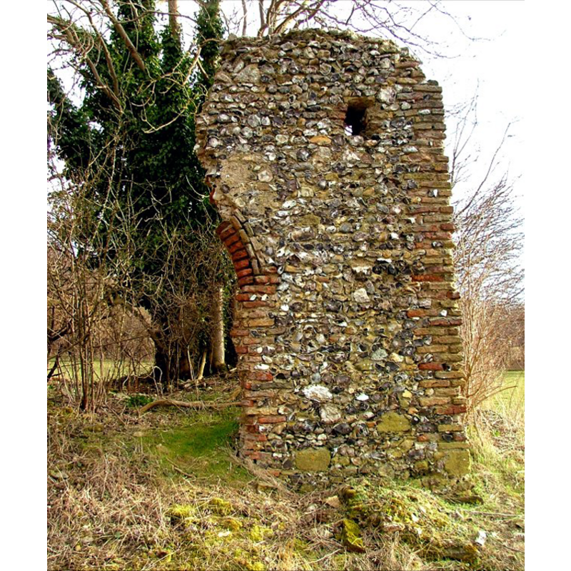 Main image for Lyng nr. East Dereham No. 2 / Ling
