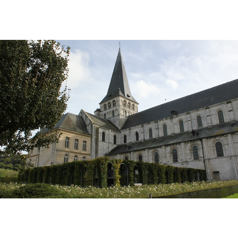 the site of the former stone cloister is now marked by the quadrangular vegetation structure