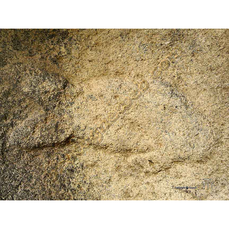 one of two carved on the bottom of the basin well