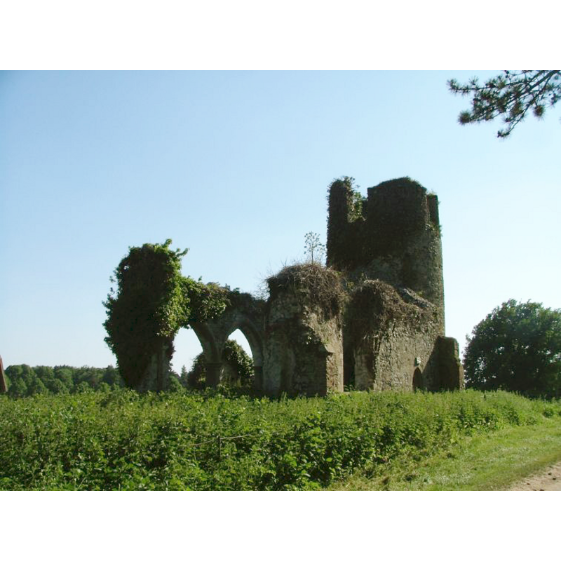 the ruins of St. Mary's