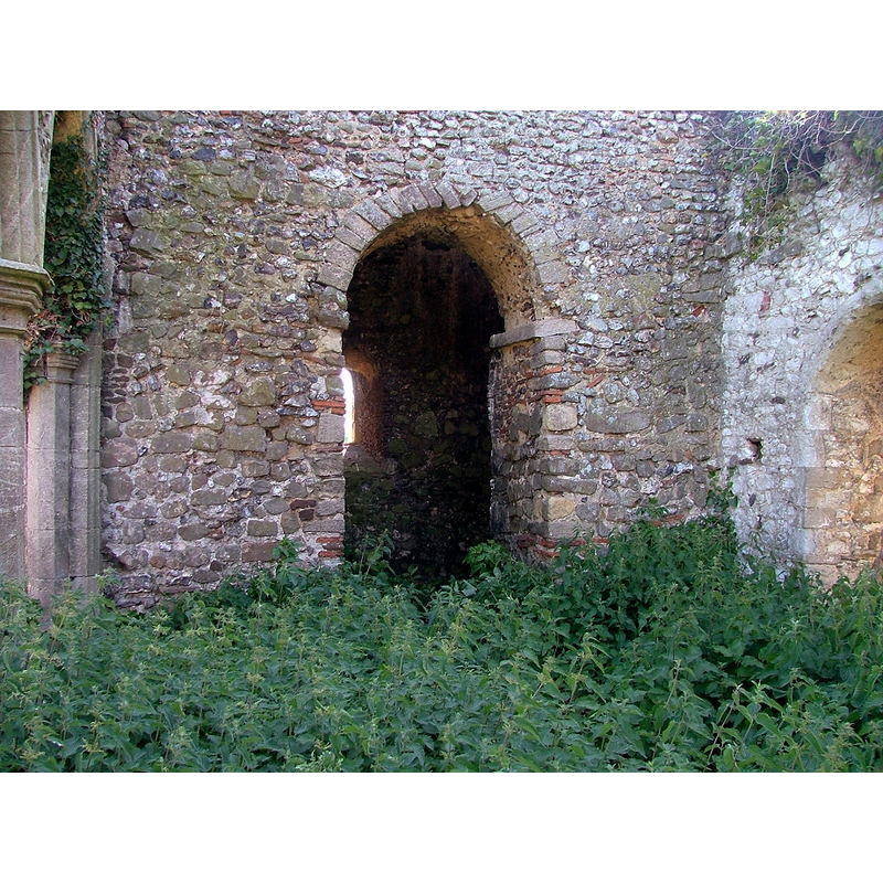 the ruins of St. Mary's