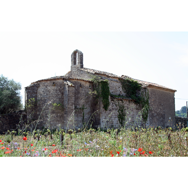 Main image for Pezenas No. 1 / Pesenàs / Pézénas