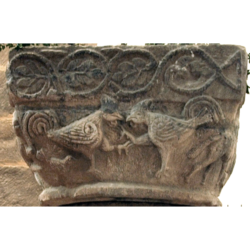 north side of the basin -- facing each other, in a fighting stand; there is a smaller bird in the lower left hand corner; a chick?