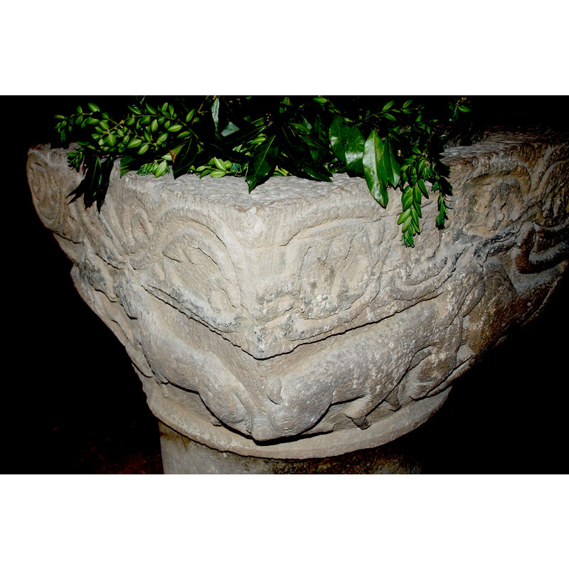 west side of the basin, close to the west wall -- appear to be felines (at least the one on the right does]
