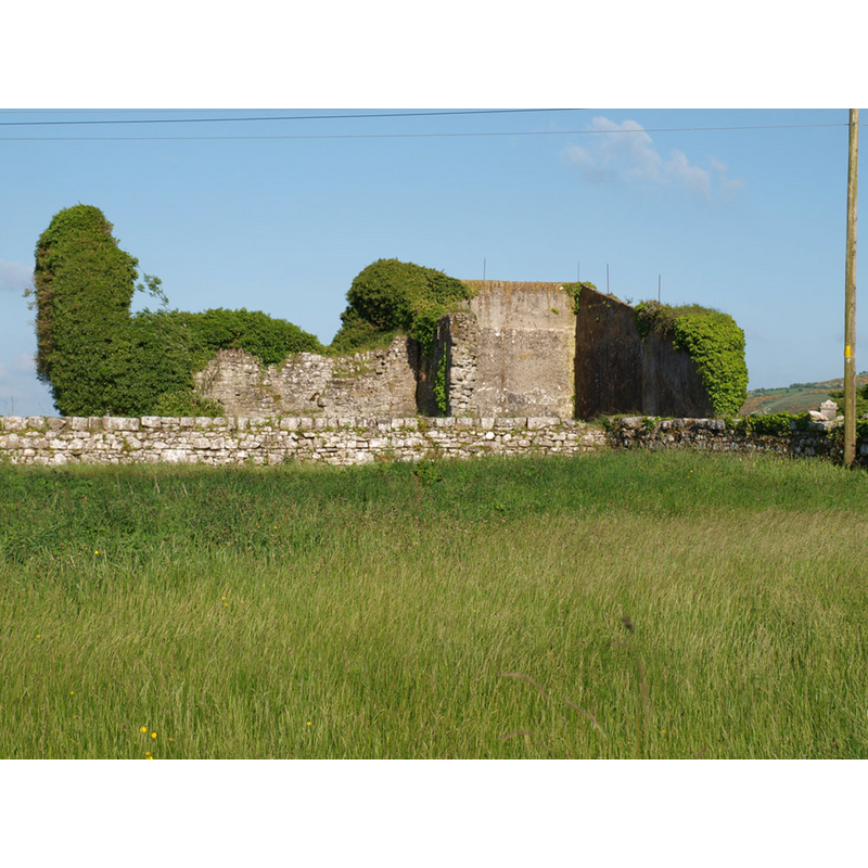 a view of the ruins of the church at Fertagh (Diocese of Ossory), where the font is believed to have originated -- Photo caption: "General view of the church at Fertagh. The nave is to the right of the image, it was converted into a handball alley. The MacGillapadraig mortuary chapel is to the left, north of the nave."