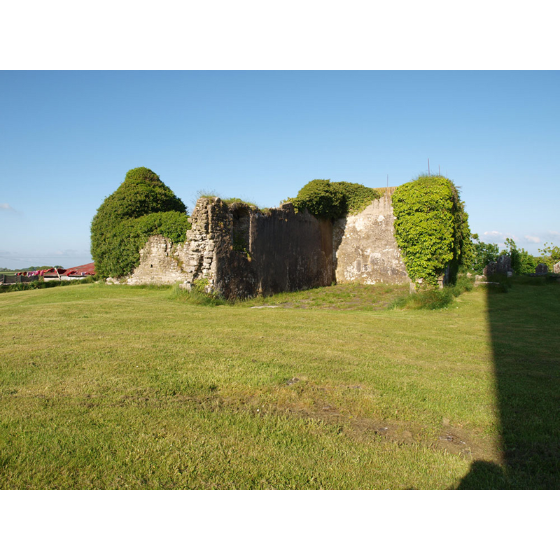 another view of the ruins of the church at Fertagh (Diocese of Ossory), where the font is believed to have originated -- Photo caption: "General view of the church at Fertagh. The nave is to the right of the image, it was converted into a handball alley. The MacGillapadraig mortuary chapel is to the left, north of the nave."