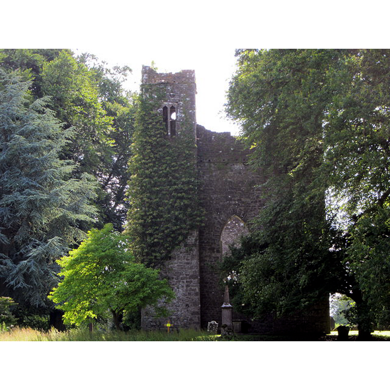 partial view of the ruins of St. Nicholas -- Photo caption: "Built in the 1440's, and named for St. Nicholas of Myra, this is the estate church of Dunsany demesne, made after and slightly larger than the also-ruined church on the Killeen estate. Although the main body is roofless, it is still consecrated and a wedding was celebrated there in the 2000's. There are stairs in a tower, and a residential space at the rear."