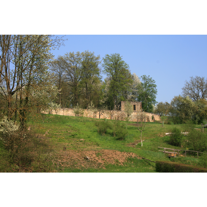 the old cemetery continued in use until the 19thC; the enclosure wall is modern -- Photo caption: "Ruine der Martinskirche, Meckesheim (Baden)"