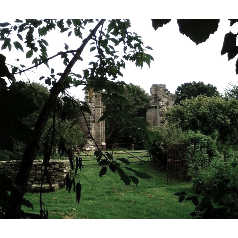 ruins of the old priory church