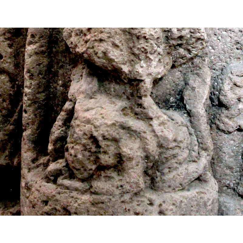 tentative identification; animal or human?