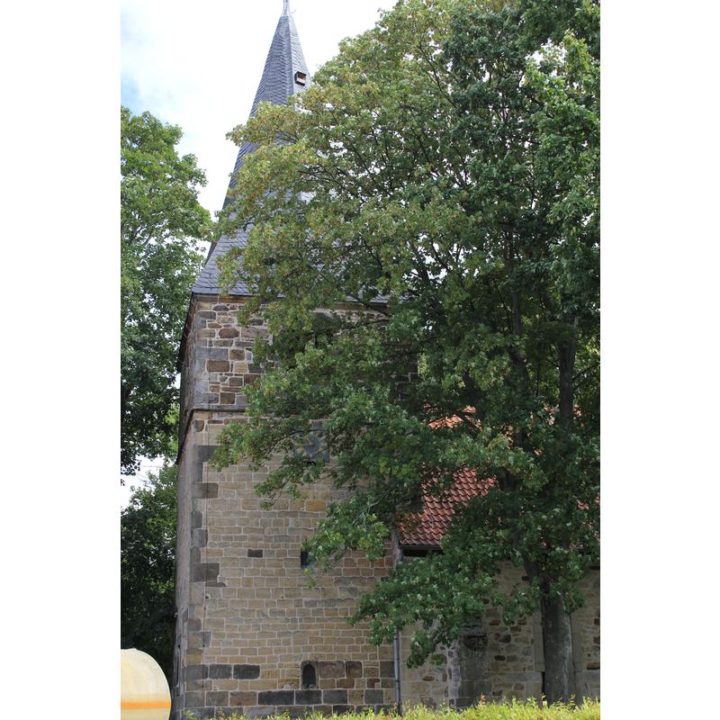 Main image for Leveste/ Leueste