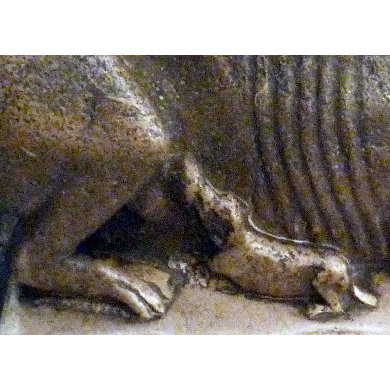 the dog-looking cub