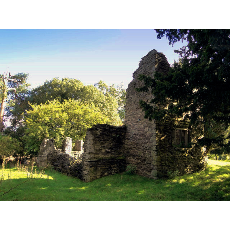 ruins of old St. Mary's in 2012