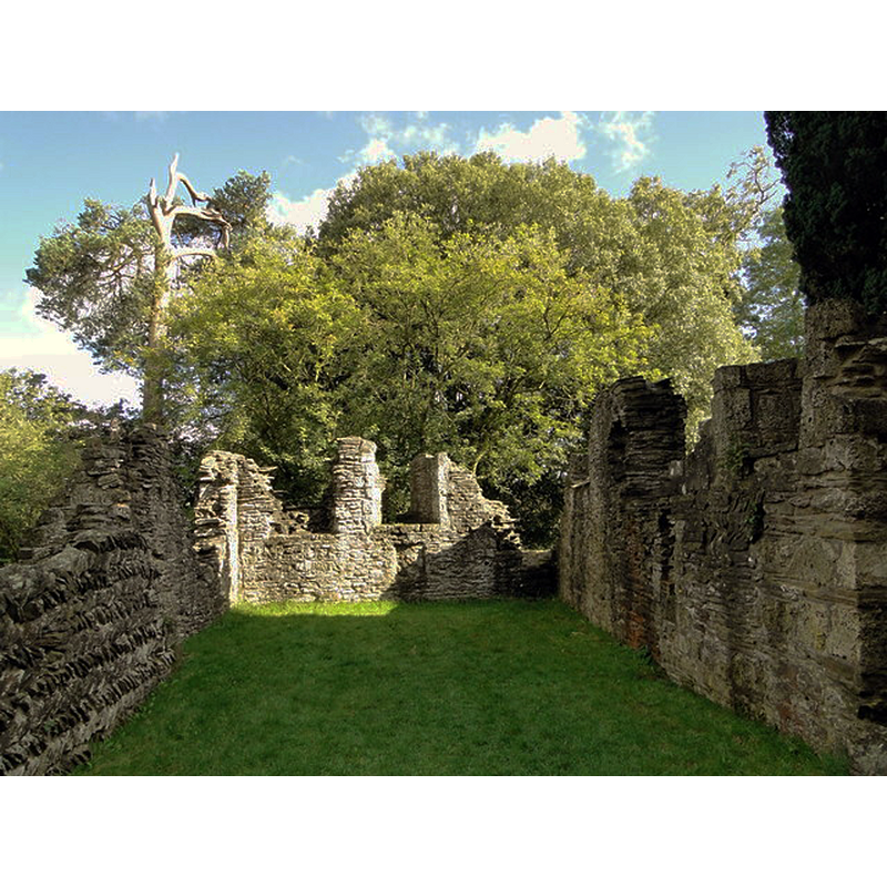 ruins of old St. Mary's in 2012