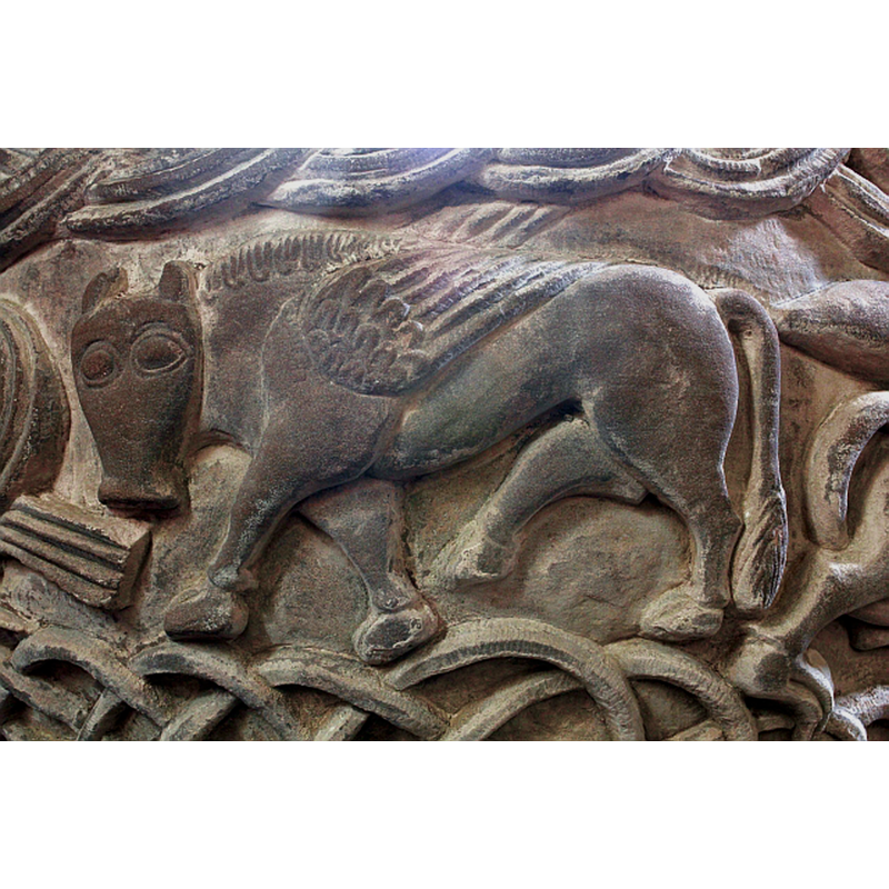 rather equine-looking, unfortunately