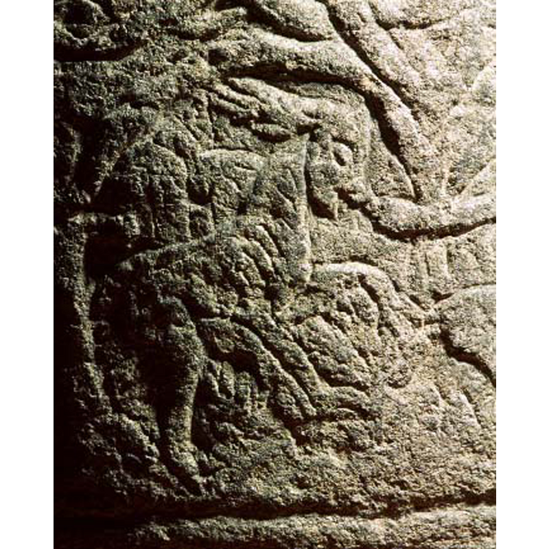 caption in the SHM's Medeltidens bildvärld: "hjort (?)"