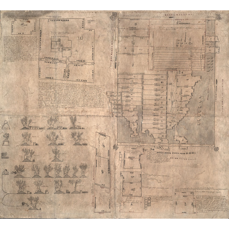 Source caption: "Dated at approximately 1540, this map, a Mexican pictorial document with writing in Spanish and Nahuatl, relates to a lawsuit concerning the estate of Don Carlos Ometochtli Chichimecatecotl, an Aztec lord and one of the many sons of Nezahualpilli, ruler of Texcoco. Don Carlos was charged with heresy and publicly executed by the Spanish authorities on November 30, 1539. Litigation began on December 31, 1540, when a man identified as Pedro de Vergara petitioned the Inquisition to return to him certain fruit trees taken from the property of Don Carlos that Vergara claimed were his under a contract that had been concluded with Don Carlos several years earlier. Other individuals contended that the lands occupied by Don Carlos did not belong to him personally but to the family—the lords of Texcoco—as a whole. This map most likely was commissioned by Antonio Pimentel Tlahuilotzin, governor of Texcoco, to buttress these claims. Further complicating the case were claims by another set of petitioners that the Texcocan lands had been partitioned by the Spanish authorities and that lands held by Don Carlos during his lifetime were now the property of commoners. The outcome of the litigation is not known. The map reflects the pre-European, Mesoamerican tradition of using glyphs and indigenously produced paper (amatl) to make maps. Drawings done with red and black inks indicate land plots with indigenous measurements and place glyphs. Near the upper left is a plan of several houses within a precinct; on the right are maps showing more than 75 identified plots, an inventory of landed properties once owned by Don Carlos. In the lower left is a gloss of European fruit trees and grape vines grafted onto indigenous tree stock, the only such image of this agricultural technique known to exist in any Mexican indigenous pictorial document. The map provides details about the grafting of peach, apricot, pear, and other fruit trees imported from Spain onto apple and cherry trees indigenous to Mexico."