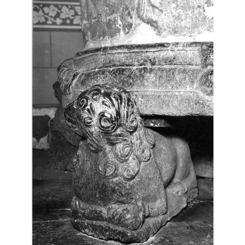head turned towards the left; does not appear to be holding anything