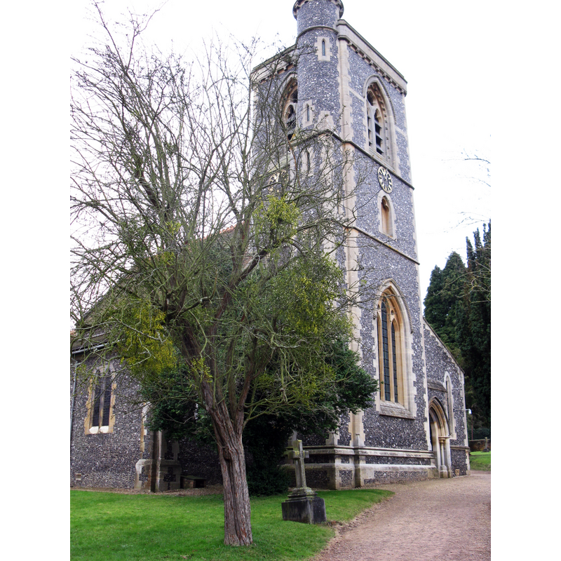 Main image for White Waltham / Waltham / Waltham Abbas / West Waltham / Whitwalton / Whyte Waltham / Wygt Waltham