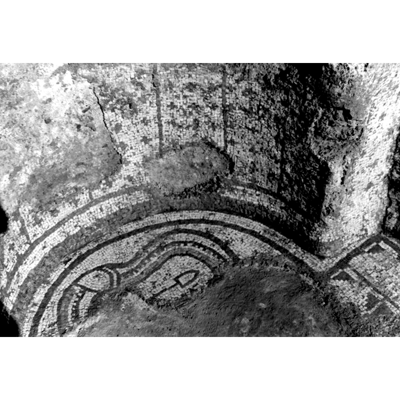 view of one of the 'apses', and detail of the floor mosaic