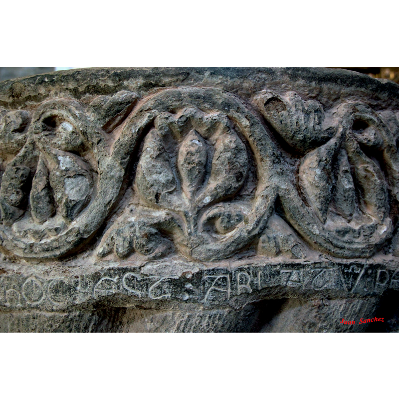 showing details of the acanthus vine and the inscription below: "HOC : EST : ABLATV[m]"