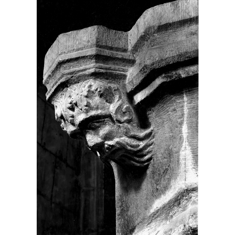 one of the male heads