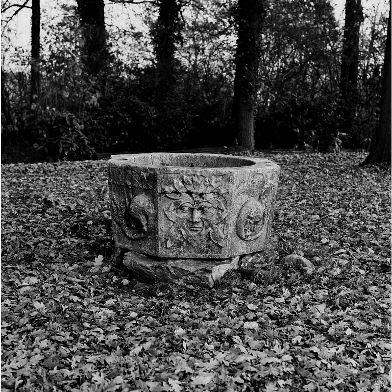 at the garden in Huis Kemnade in December 1975