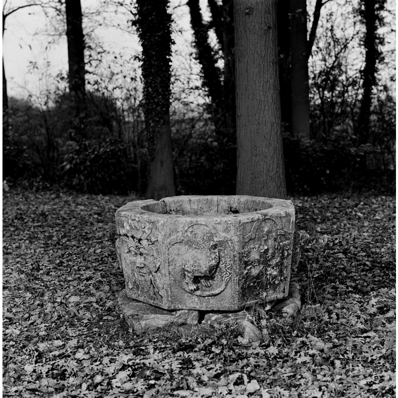 at the garden in Huis Kemnade in December 1975
