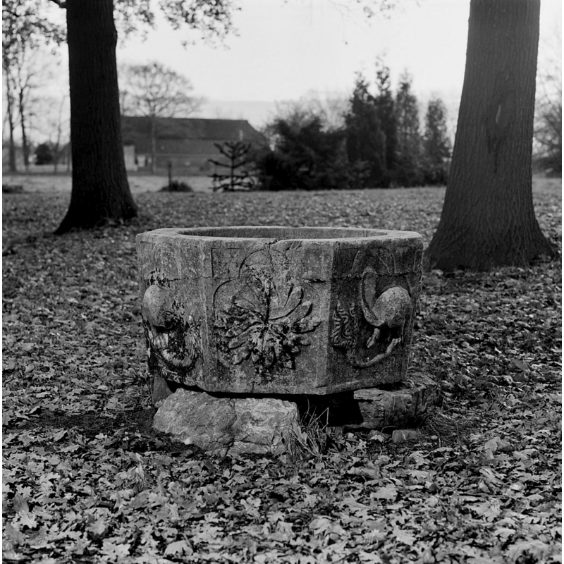 at the garden in Huis Kemnade in December 1975