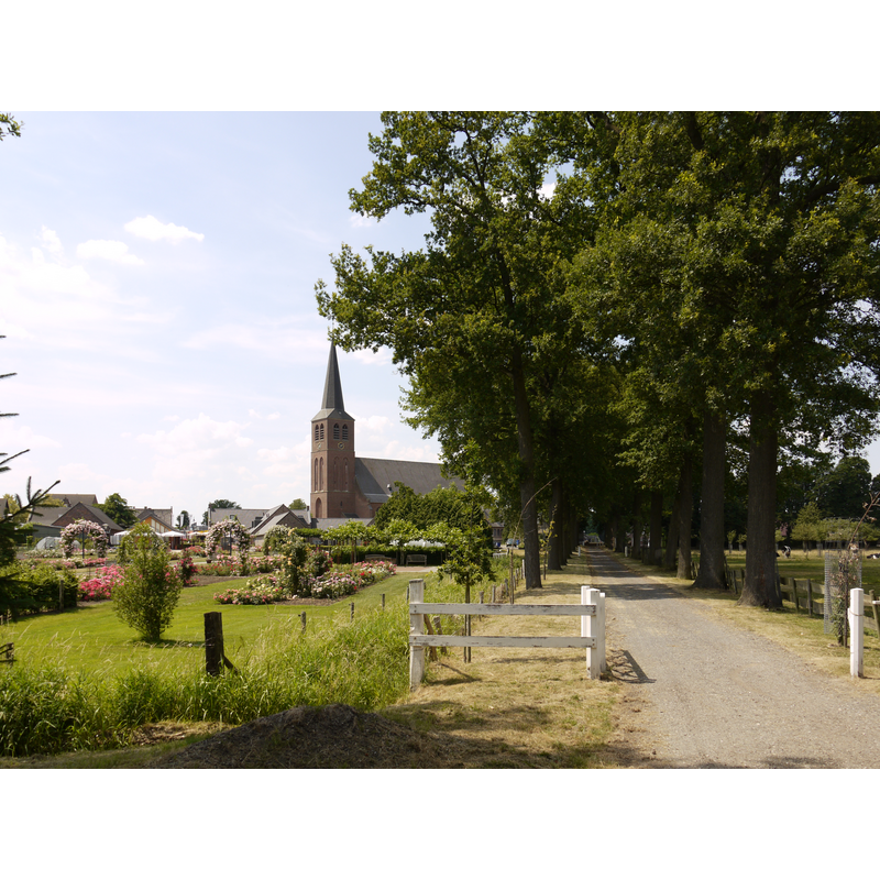 the church in the context of the village; on the right is the driveway into De Borggraaf castle