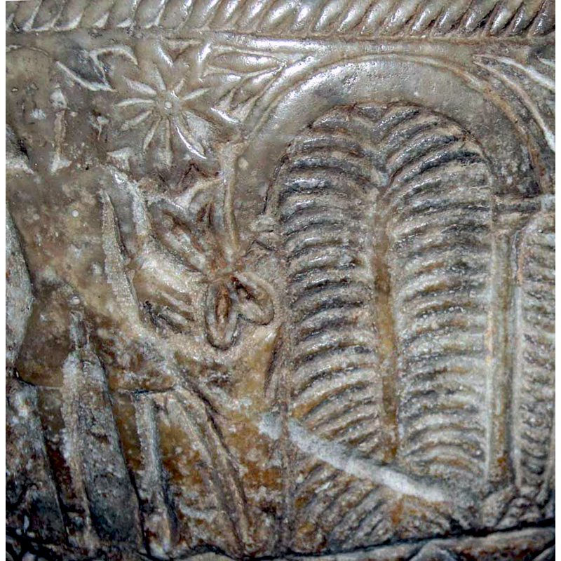 two fish, one od them upside-down, below the man's left leg