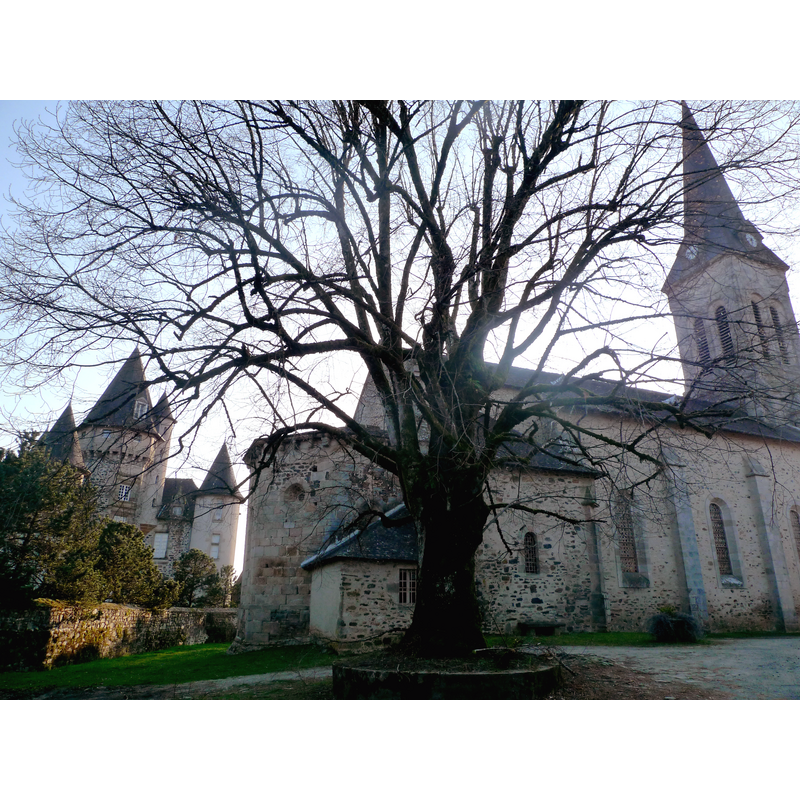 with the castle in the background, left side