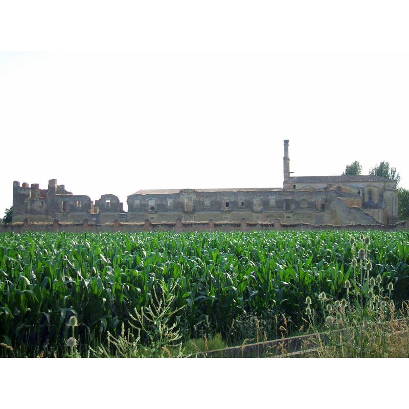 Source caption: "Ruinas del monasterio. Al fondo puede verse la espadaña de la iglesia."