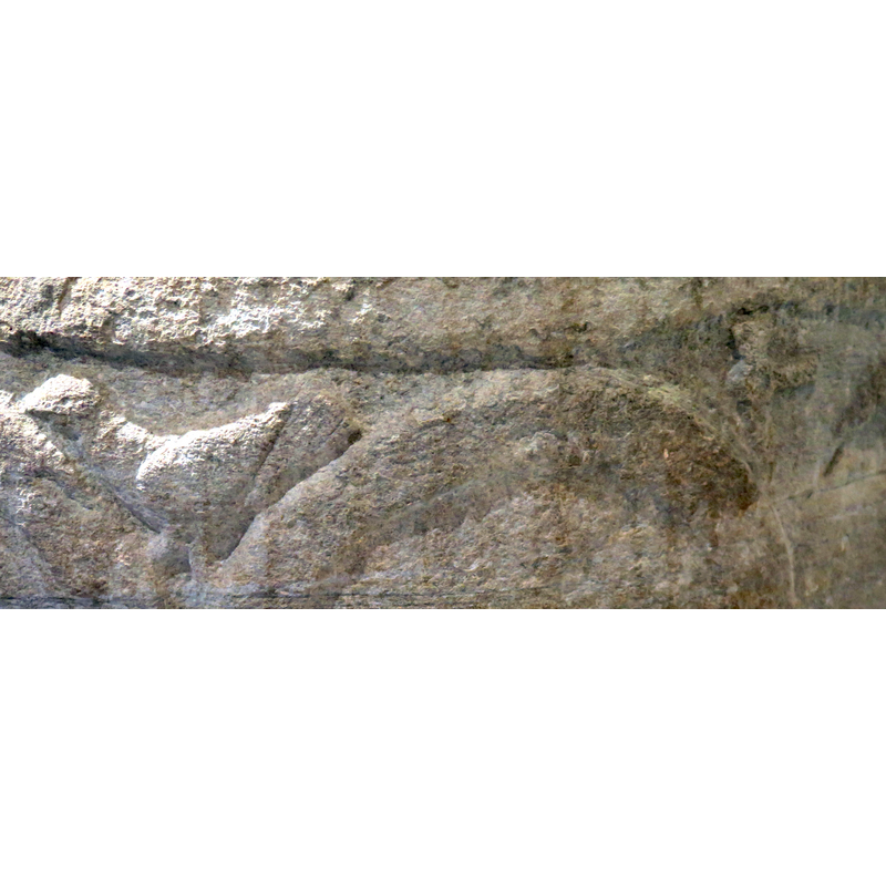 seen here in the left spandrel