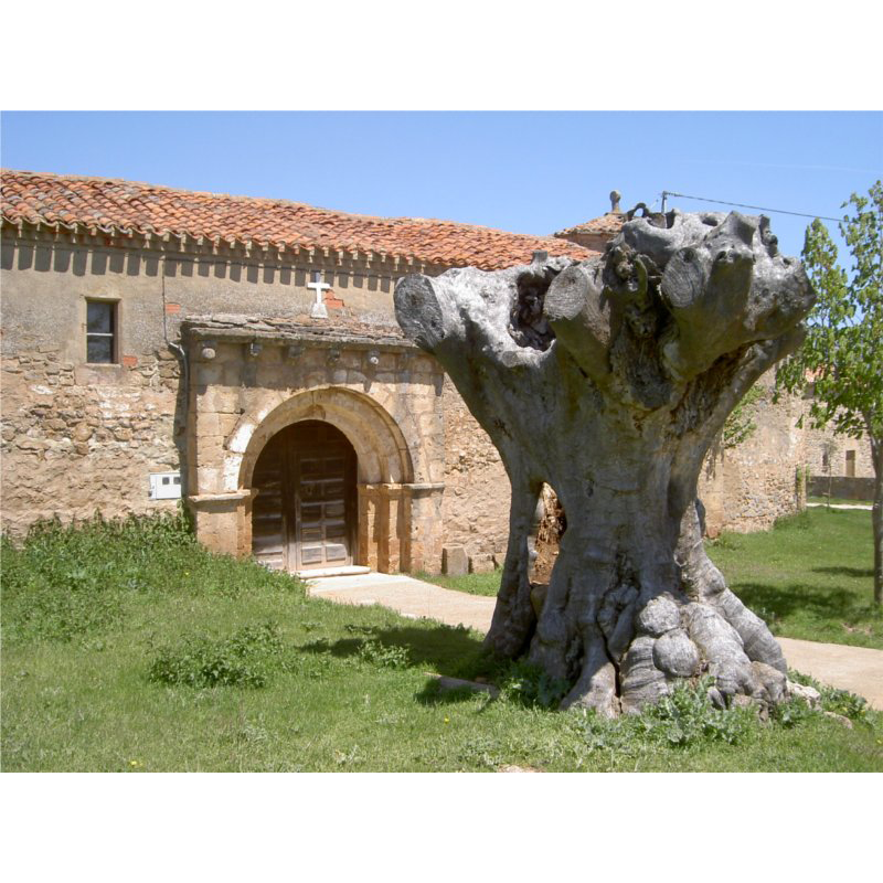 Main image for Pinilla de Caraduena / Pinilla de Caradueña