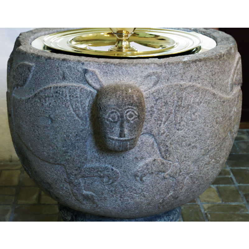 un-feline head