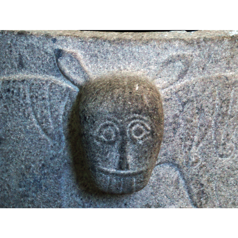 buck-toothed or forked-tongued?